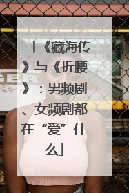《藏海传》与《折腰》：男频剧、女频剧都在“爱”什么
