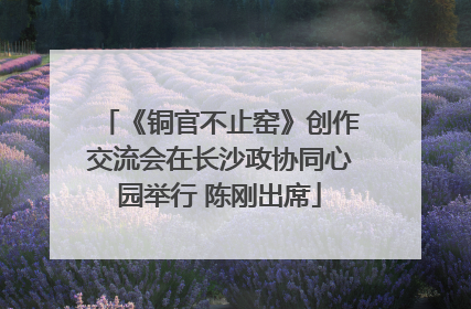 《铜官不止窑》创作交流会在长沙政协同心园举行 陈刚出席