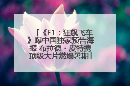 《F1：狂飙飞车》曝中国独家预告海报 布拉德・皮特携顶级大片燃爆暑期