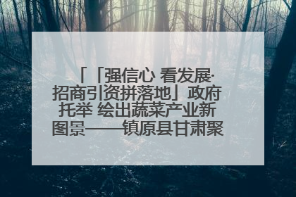 「强信心 看发展·招商引资拼落地」政府托举 绘出蔬菜产业新图景——镇原县甘肃聚广利现代设施蔬菜种植基地见闻