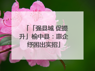「强县域 促提升」榆中县：惠企纾困出实招