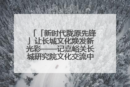 「新时代陇原先锋」让长城文化焕发新光彩——记嘉峪关长城研究院文化交流中心干部张晓燕