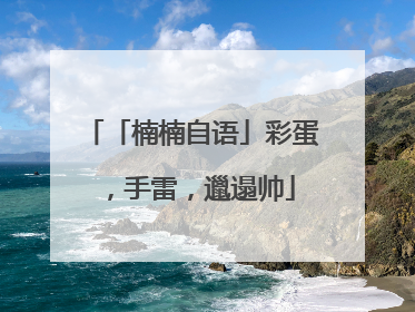 「楠楠自语」彩蛋，手雷，邋遢帅