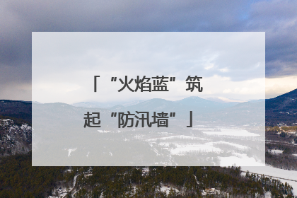 “火焰蓝”筑起“防汛墙”
