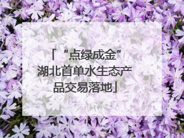 “点绿成金” 湖北首单水生态产品交易落地