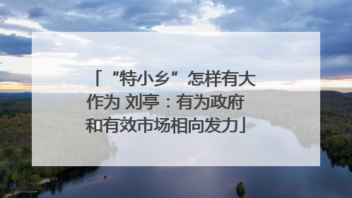 “特小乡”怎样有大作为 刘亭：有为政府和有效市场相向发力