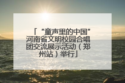 “童声里的中国”河南省文明校园合唱团交流展示活动（郑州站）举行