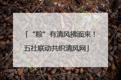 “粽”有清风拂面来！五社联动共织清风网