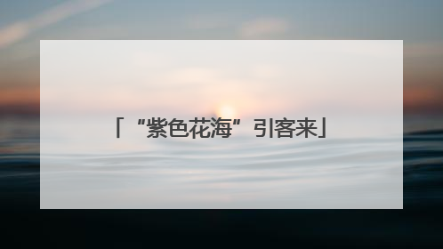“紫色花海”引客来