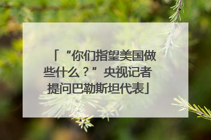 “你们指望美国做些什么？”央视记者提问巴勒斯坦代表