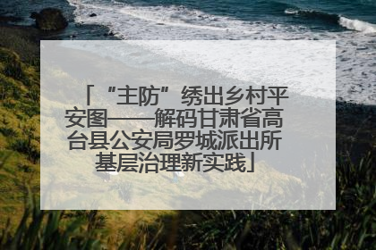 “主防”绣出乡村平安图——解码甘肃省高台县公安局罗城派出所基层治理新实践