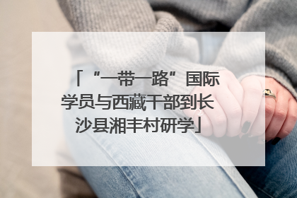 “一带一路”国际学员与西藏干部到长沙县湘丰村研学