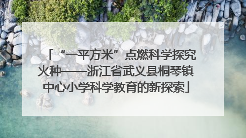 “一平方米”点燃科学探究火种——浙江省武义县桐琴镇中心小学科学教育的新探索