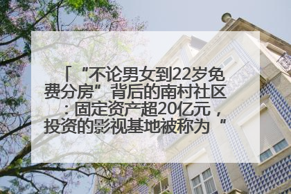 “不论男女到22岁免费分房”背后的南村社区：固定资产超20亿元，投资的影视基地被称为“山村好莱坞”