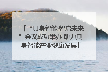 “具身智能·智启未来”会议成功举办 助力具身智能产业健康发展