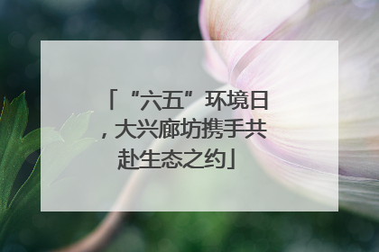 “六五”环境日，大兴廊坊携手共赴生态之约