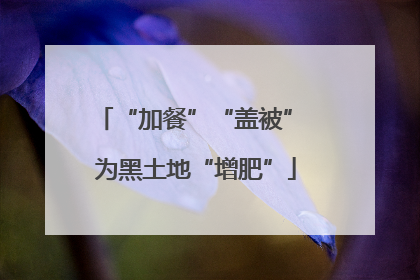“加餐”“盖被” 为黑土地“增肥”
