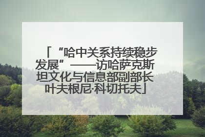 “哈中关系持续稳步发展”——访哈萨克斯坦文化与信息部副部长叶夫根尼·科切托夫