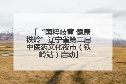 “国粹岐黄 健康铁岭”辽宁省第二届中医药文化夜市（铁岭站）启动