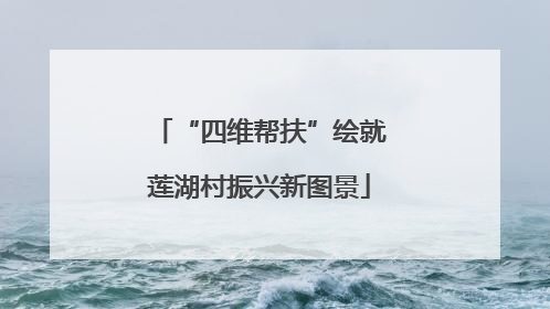 “四维帮扶”绘就莲湖村振兴新图景
