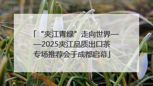 “夹江青绿”走向世界——2025夹江品质出口茶专场推荐会于成都启幕
