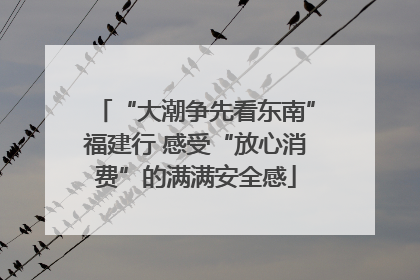 “大潮争先看东南”福建行 感受“放心消费”的满满安全感