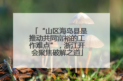 “山区海岛县是推动共同富裕的工作难点”，浙江开会聚焦破解之道