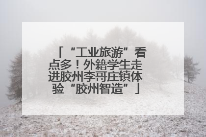 “工业旅游”看点多！外籍学生走进胶州李哥庄镇体验“胶州智造”