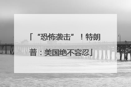 “恐怖袭击”！特朗普：美国绝不容忍