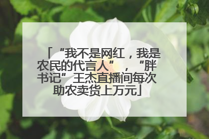 “我不是网红，我是农民的代言人”，“胖书记”王杰直播间每次助农卖货上万元