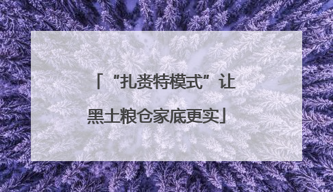 “扎赉特模式”让黑土粮仓家底更实