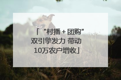 “村播＋团购”双引擎发力 带动10万农户增收