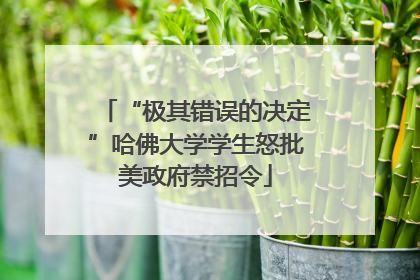 “极其错误的决定”哈佛大学学生怒批美政府禁招令