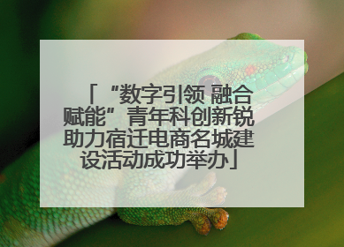 “数字引领 融合赋能”青年科创新锐助力宿迁电商名城建设活动成功举办