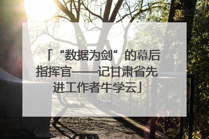 “数据为剑”的幕后指挥官——记甘肃省先进工作者牛学云