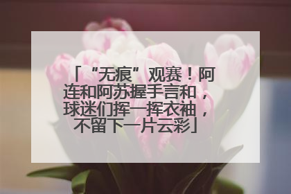 “无痕”观赛！阿连和阿苏握手言和，球迷们挥一挥衣袖，不留下一片云彩