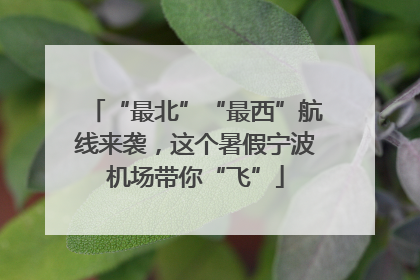 “最北”“最西”航线来袭，这个暑假宁波机场带你“飞”