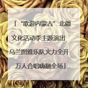 “歌游内蒙古”北疆文化活动季主题演出 乌兰图雅乐队火力全开 万人合唱嗨翻全场