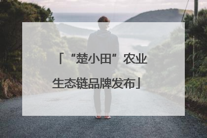 “楚小田”农业生态链品牌发布