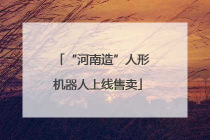 “河南造”人形机器人上线售卖