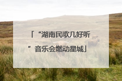 “湖南民歌几好听”音乐会燃动星城