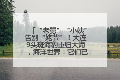 “老舅”“小姨”告别“姥爷”！大连9头斑海豹重归大海，海洋世界：它们已具备野外生存能力