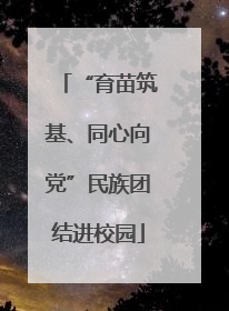 “育苗筑基、同心向党”民族团结进校园