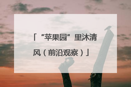 “苹果园”里沐清风（前沿观察）