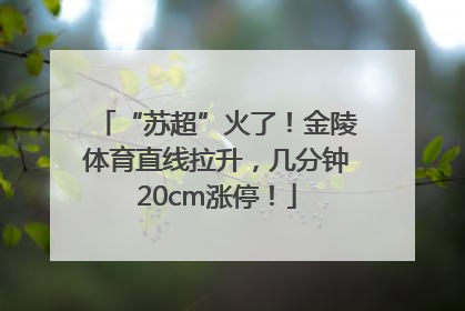 “苏超”火了！金陵体育直线拉升，几分钟20cm涨停！