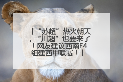 “苏超”热火朝天，“川超”也要来了！网友建议西南F4组建西甲联赛！
