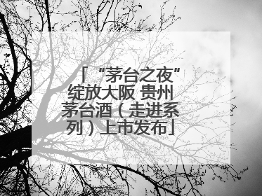 “茅台之夜”绽放大阪 贵州茅台酒（走进系列）上市发布