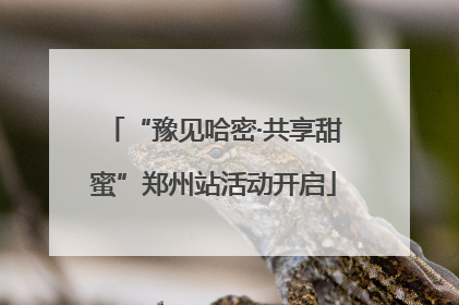 “豫见哈密·共享甜蜜”郑州站活动开启