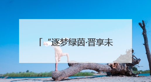 “逐梦绿茵·晋享未来”2025年山西省青少年足球联赛揭幕