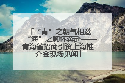 “青”之朝气相邀 “海”之胸怀奔赴——青海省招商引资上海推介会现场见闻